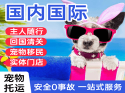 镶黄旗新宝拉格航空物流国际宠物托运 【国